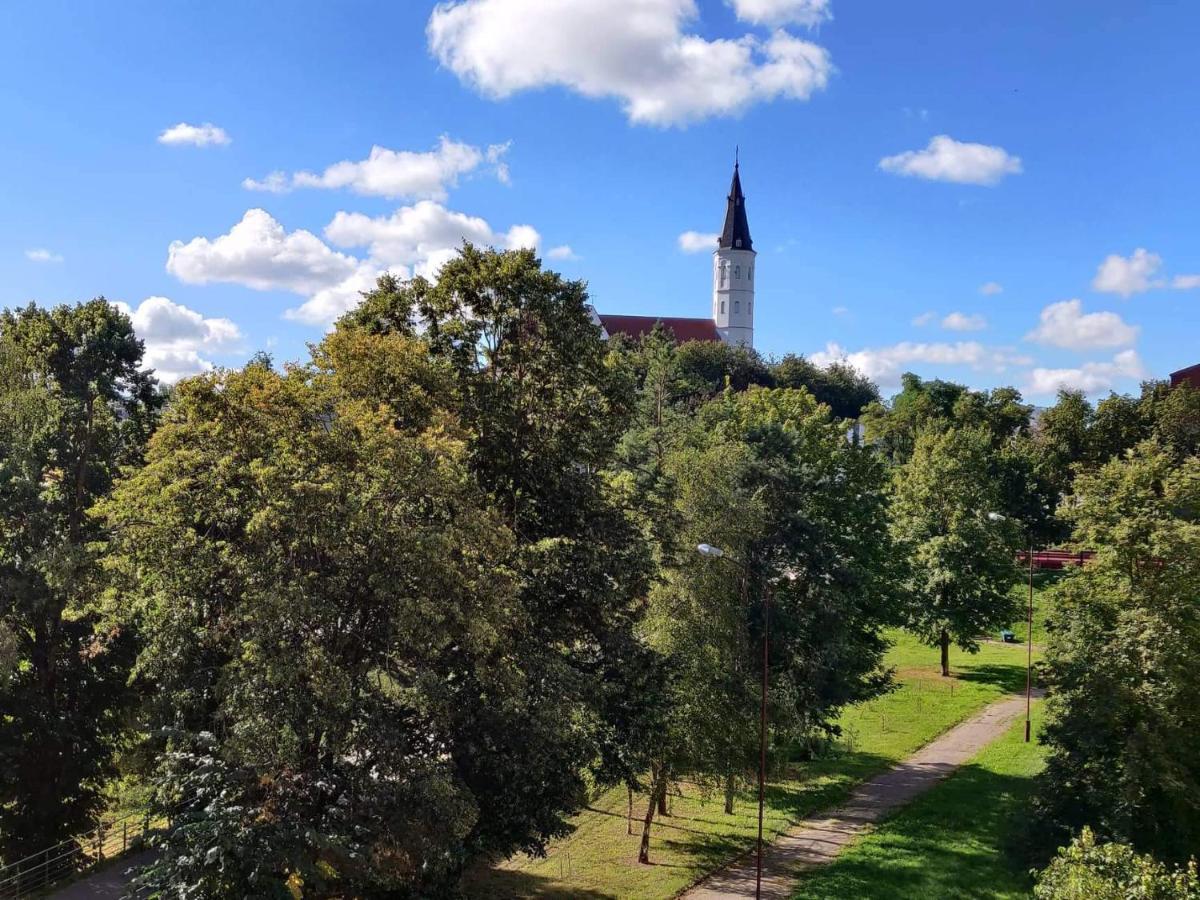 Centrinio Parko Apartamentai Šiauliai Dış mekan fotoğraf